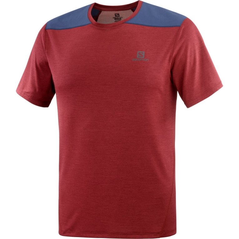 Dark Red / Navy Salomon Outline Short Sleeve Men's T-Shirts | PH 37065C